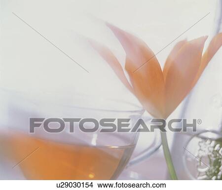A cup of herb tea and a single flower View Large Photo Image Picture - A cup of herb tea and a single flower. Fotosearch