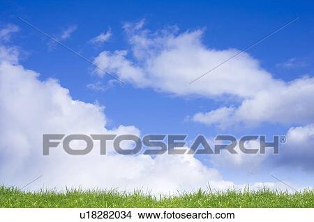 Picture - A Field and a Blue Sky. Fotosearch