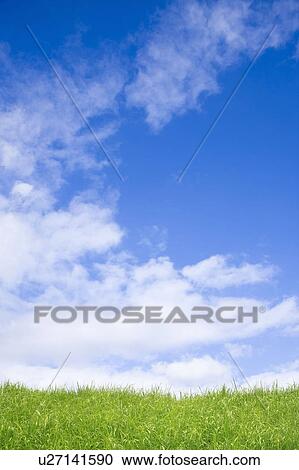 Stock Image - A Field and a Blue Sky. Fotosearch