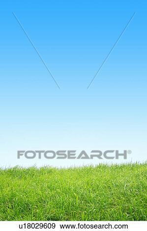 Stock Photo - A Field and a Blue Sky. Fotosearch