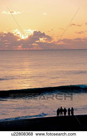 A Group of Friends at the Beach at Dawn View Large Photo Image Stock Photo - A Group of Friends at the Beach at Dawn. Fotosearch