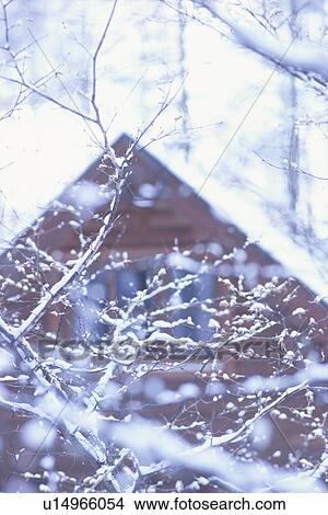 A House Covered in Snow View Large Photo Image Picture - A House Covered in Snow. Fotosearch