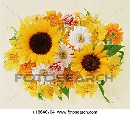 Picture - A large group of various flowers. Fotosearch