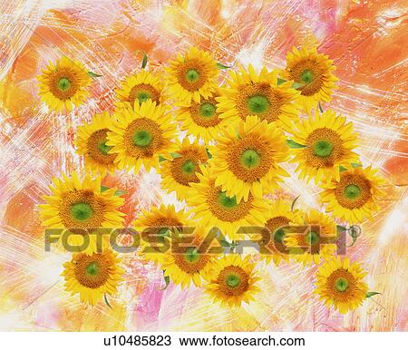 Stock Image - A large group of various flowers. Fotosearch