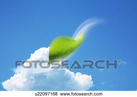 A leaf floating in the sky View Large Photo Image Stock Photo - A leaf floating in the sky. Fotosearch