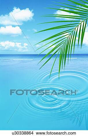A picturesque ocean scene View Large Photo Image Picture - A picturesque ocean scene. Fotosearch
