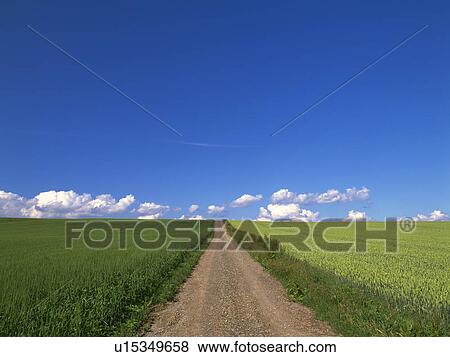 A Road View Large Photo Image Stock Photo - A Road. Fotosearch