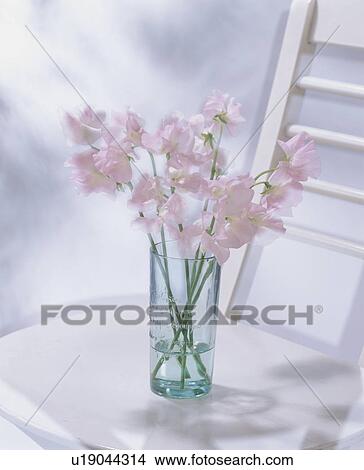 A small vase of flowers on a chair View Large Photo Image Picture - A small vase of flowers on a chair. Fotosearch