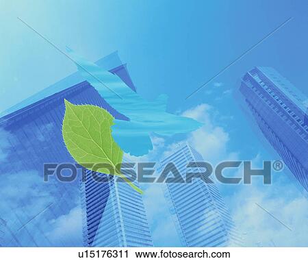 Abstract view of skyscrapers with leaf and pigeon motif View Large Photo Image Stock Image - Abstract view of skyscrapers with leaf and pigeon motif. Fotosearch