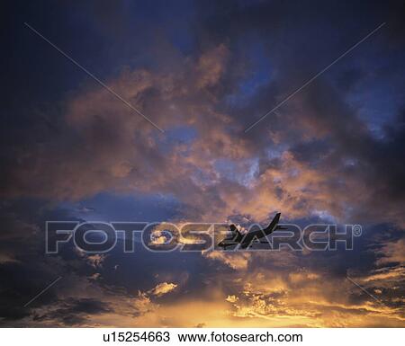 Airplane in sky during majestic sunset, Tokyo, Japan View Large Photo Image Stock Image - Airplane in sky during majestic sunset, Tokyo, Japan. Fotosearch