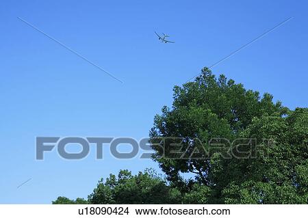Picture - Airplane in the blue sky, copy space. Fotosearch