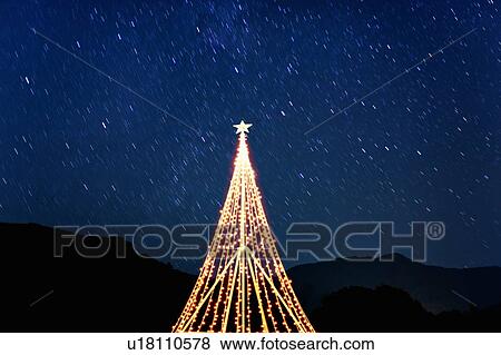 Stock Photo - An Illuminated Christmas Tree Underneath the Stars. Fotosearch