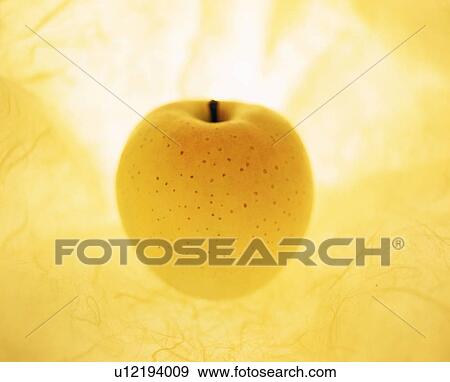 Stock Photo - Asian pear. Fotosearch