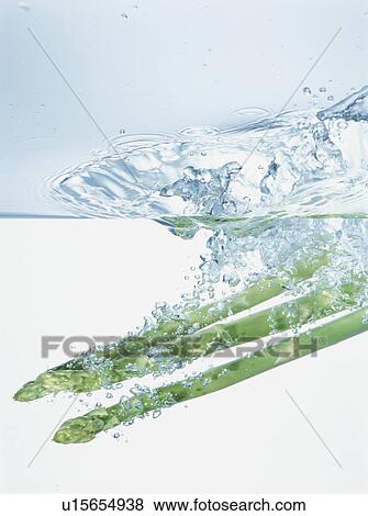 Stock Photo - Asparagus falling into water. Fotosearch