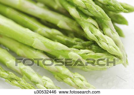 Asparagus View Large Photo Image Stock Photograph - Asparagus. Fotosearch