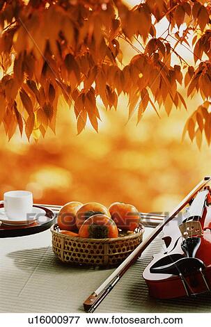 Stock Photo - Autumn leaves hanging over a basket of persimmons and a violin and bow. Fotosearch