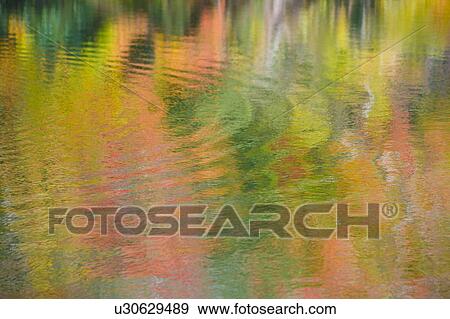 Stock Photo - Autumnal colors reflected in pond. Takashima, Shiga Prefecture, Japan. Fotosearch