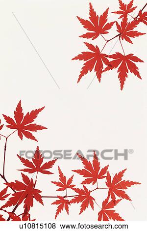 Stock Photo - Autumnal leaves. Fotosearch