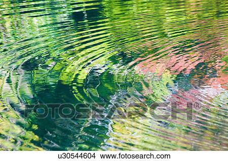 Picture - Autumnal trees reflected in pond. Fotosearch