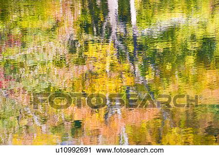 Stock Image - Autumnal trees reflected in pond, Takashima, Shiga Prefecture, Japan. Fotosearch