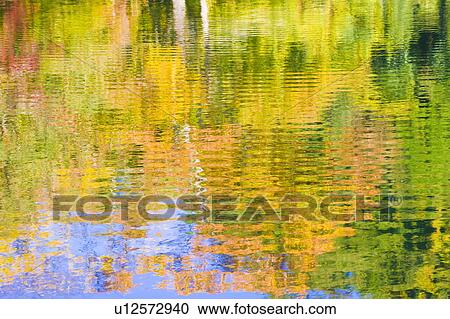 Stock Image - Autumnal trees reflected in pond. Fotosearch