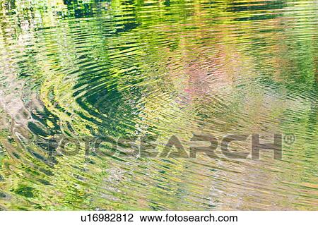 Autumnal trees reflected in pond View Large Photo Image Stock Image - Autumnal trees reflected in pond. Fotosearch