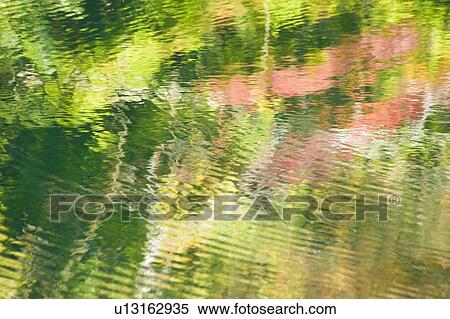 Stock Photography - Autumnal trees reflected in pond. Fotosearch
