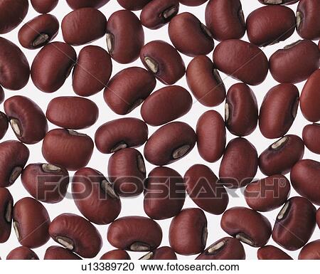 Azuki beans View Large Photo Image Stock Image - Azuki beans. Fotosearch