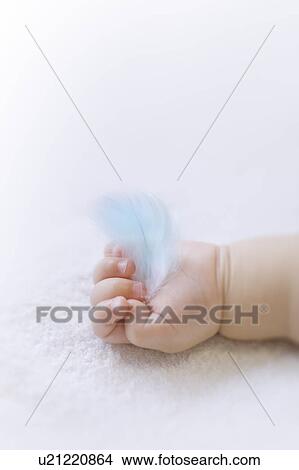 Baby holding blue feather View Large Photo Image Picture - Baby holding blue feather. Fotosearch