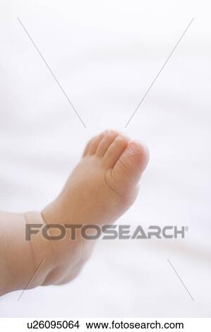 Picture - Baby's foot. Fotosearch