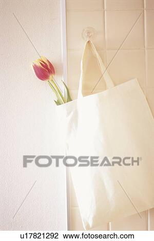 Stock Image - Bag with tulip hanging on wall. Fotosearch