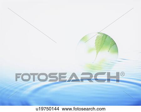 Ball with image of leaves floating over rippled water View Large Photo Image Picture - Ball with image of leaves floating over rippled water. Fotosearch