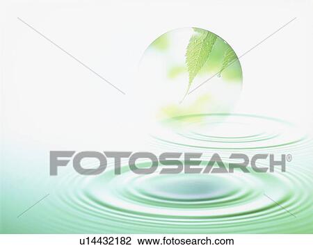 Ball with image of leaves floating over rippled water View Large Photo Image Stock Image - Ball with image of leaves floating over rippled water. Fotosearch