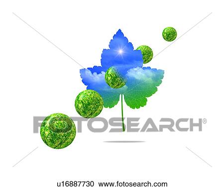 Balls with image of trees and leaf with image of sky, computer graphic, white background View Large Photo Image Stock Image - Balls with image of trees and leaf with image of sky, computer graphic, white background. Fotosearch