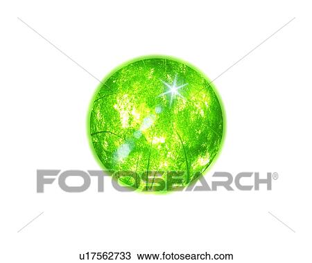 Bamboo forest in a sphere View Large Photo Image Stock Image - Bamboo forest in a sphere. Fotosearch