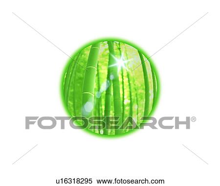 Bamboo forest in a sphere View Large Photo Image Stock Photography - Bamboo forest in a sphere. Fotosearch