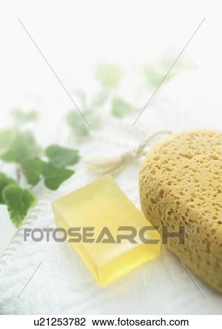 Bar of soap, bath sponge, towel and ivy View Large Photo Image Stock Image - Bar of soap, bath sponge, towel and ivy. Fotosearch
