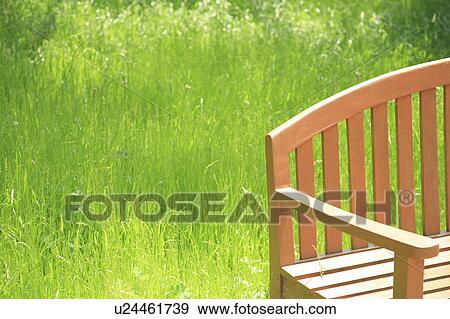 Bench in park View Large Photo Image Stock Photo - Bench in park. Fotosearch