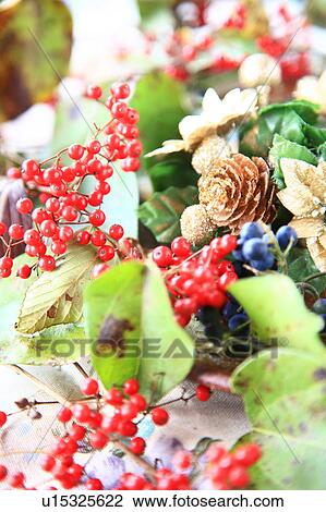 Stock Image - Berries and pine cone. Fotosearch