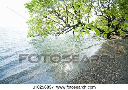 Biwa Lake. Otsu, Shiga Prefecture, Japan View Large Photo Image Stock Photo - Biwa Lake. Otsu, Shiga Prefecture, Japan. Fotosearch