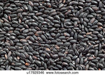 Black rice, close up, full frame View Large Photo Image Stock Photograph - Black rice, close up, full frame. Fotosearch