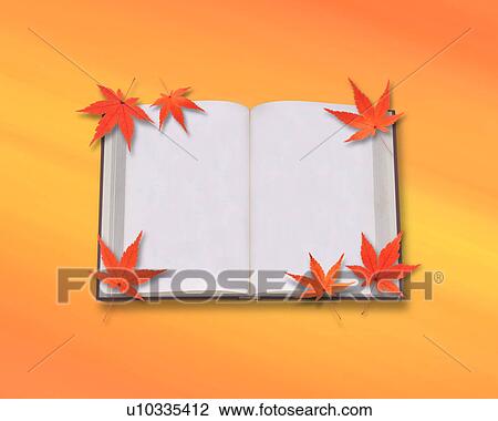 Blank book and Japanese maple leaves View Large Photo Image Stock Image - Blank book and Japanese maple leaves. Fotosearch