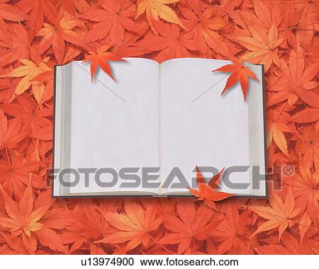 Blank book and Japanese maple leaves View Large Photo Image Stock Image - Blank book and Japanese maple leaves. Fotosearch