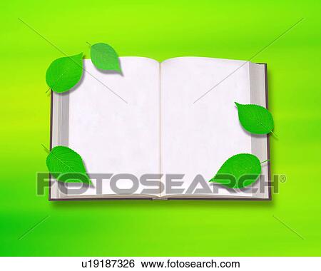 Blank book with leaves View Large Photo Image Stock Photograph - Blank book with leaves. Fotosearch