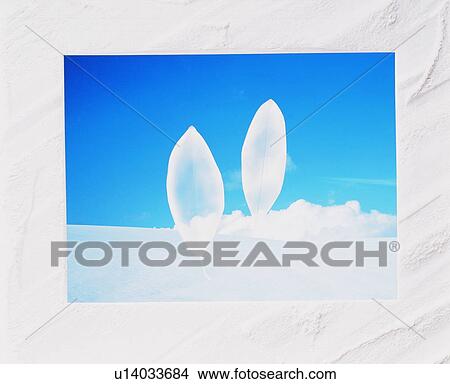 Blue sky and white leaves in a frame View Large Photo Image Picture - Blue sky and white leaves in a frame. Fotosearch