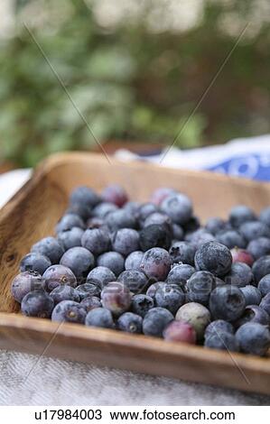 Stock Image - Blueberries in a tray. Fotosearch