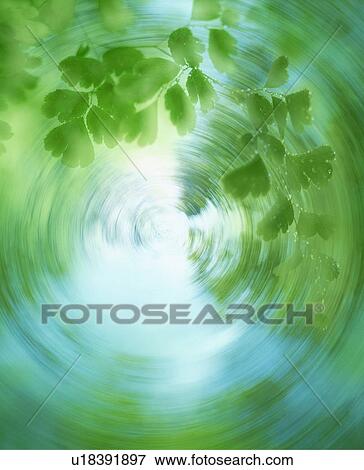 Blurred circle of leaves View Large Photo Image Stock Photo - Blurred circle of leaves. Fotosearch
