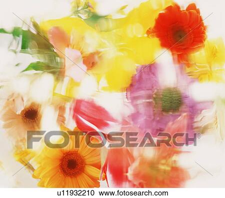 Stock Image - Blurred group of flowers. Fotosearch