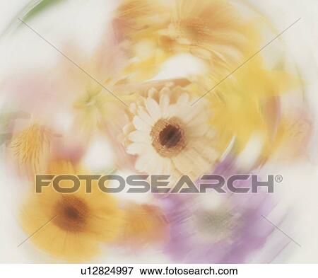 Stock Photo - Blurred group of flowers. Fotosearch