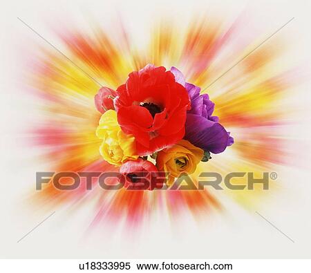 Blurred group of flowers View Large Photo Image Stock Photography - Blurred group of flowers. Fotosearch